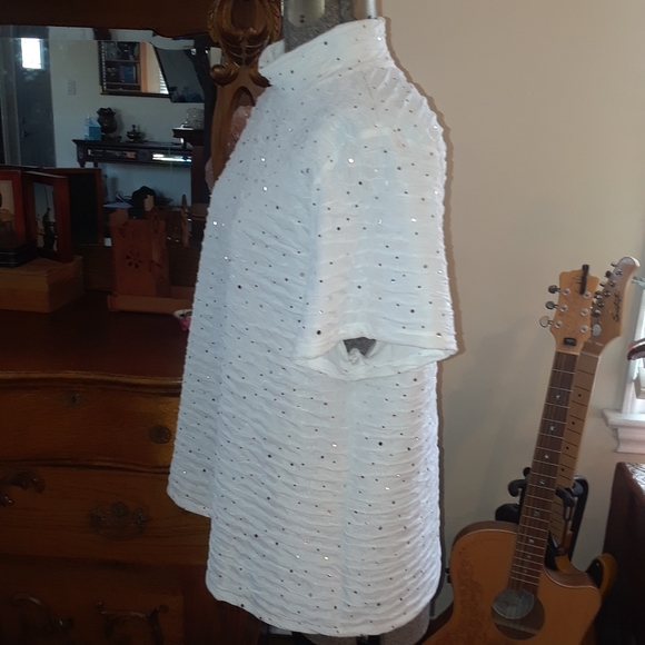 Size Xlarge sparkly sequence the chiffon TanJay blouse shirt - Picture 3 of 16